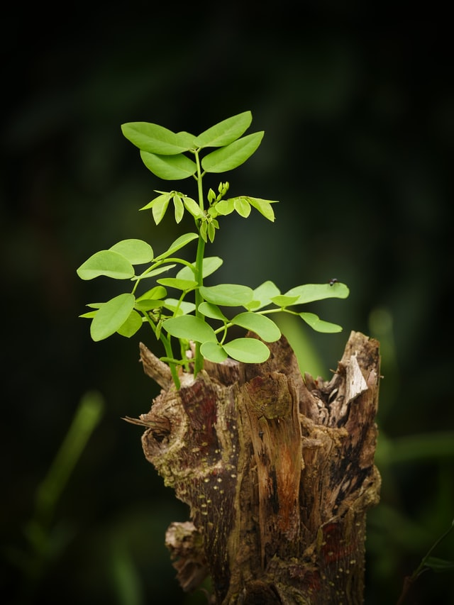 How To Grow Your Startup With Scalable Operations by Paul David Mather